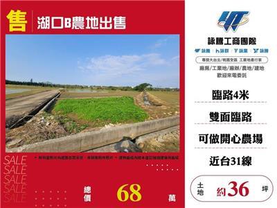 湖口農地-0